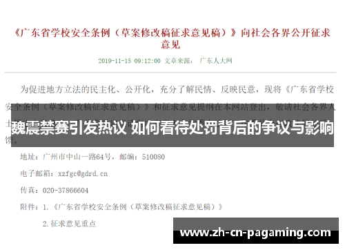 魏震禁赛引发热议 如何看待处罚背后的争议与影响