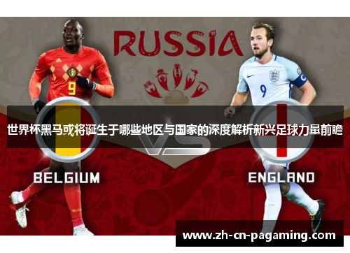 世界杯黑马或将诞生于哪些地区与国家的深度解析新兴足球力量前瞻