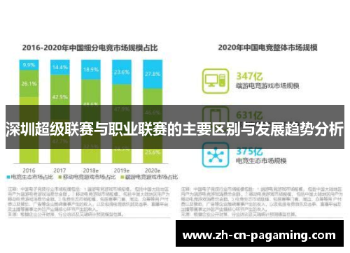 深圳超级联赛与职业联赛的主要区别与发展趋势分析