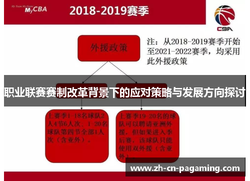 职业联赛赛制改革背景下的应对策略与发展方向探讨
