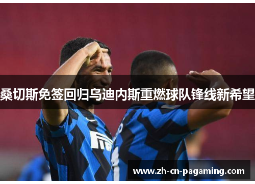 桑切斯免签回归乌迪内斯重燃球队锋线新希望