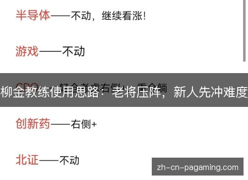 柳金教练使用思路：老将压阵，新人先冲难度